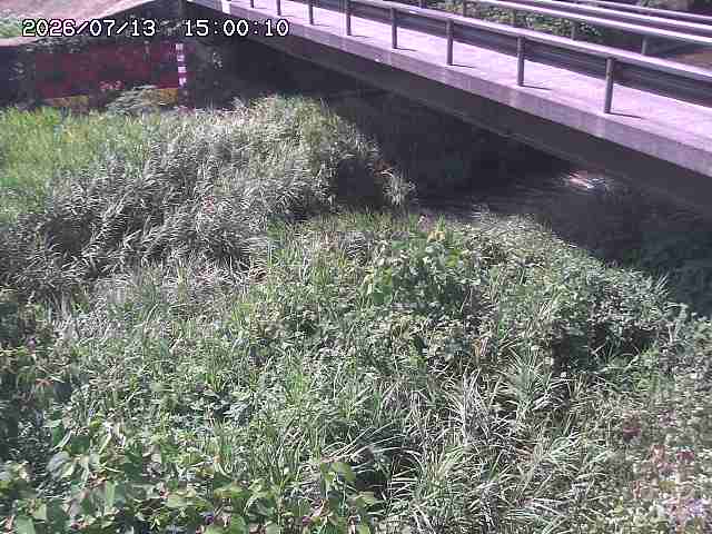 土師川２2026/07/14 15:20:00
