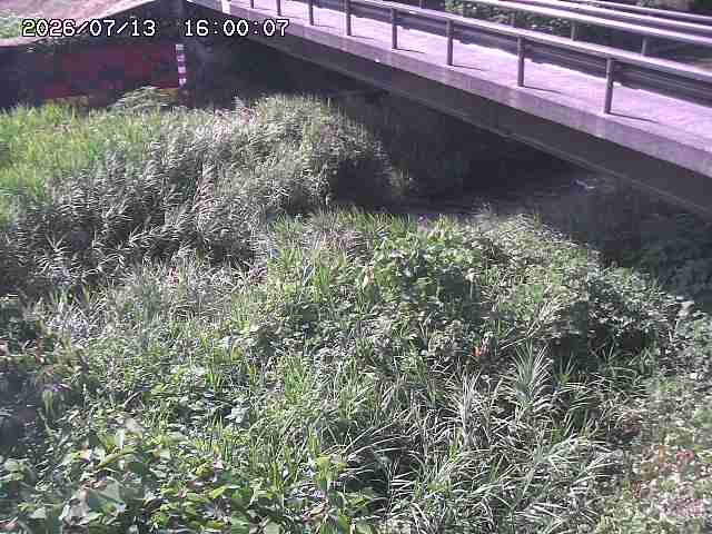 土師川２2026/07/14 15:20:00