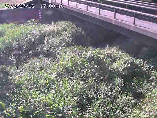 土師川２2026/07/14 15:20:00