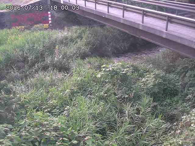 土師川２2026/07/14 15:20:00