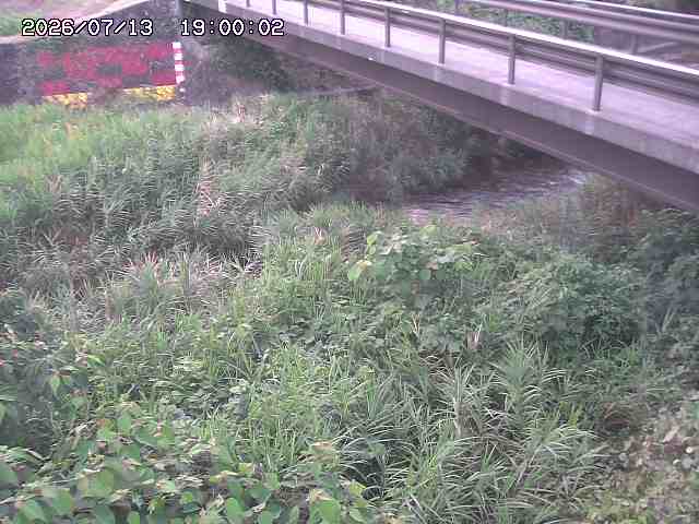 土師川２2026/07/14 15:20:00