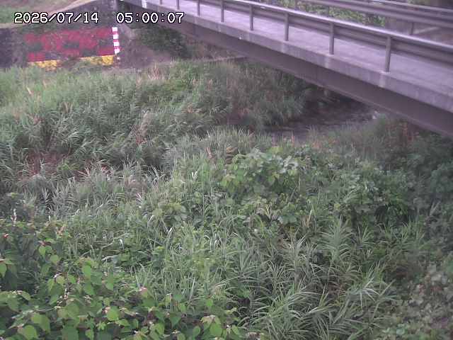 土師川２2026/07/14 15:20:00