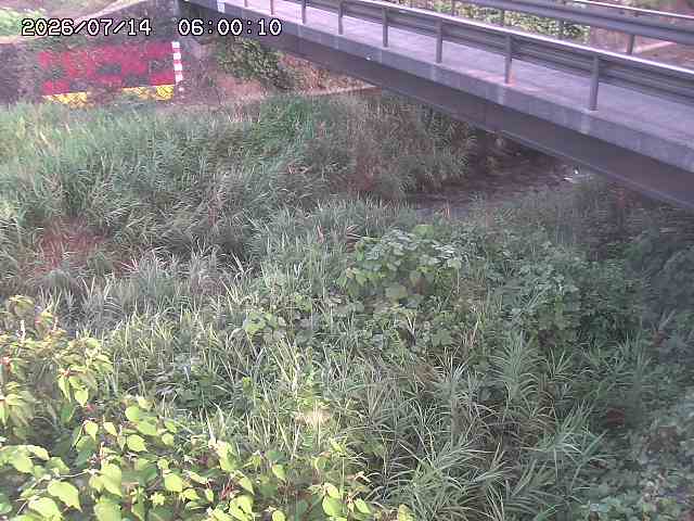 土師川２2026/07/14 15:20:00
