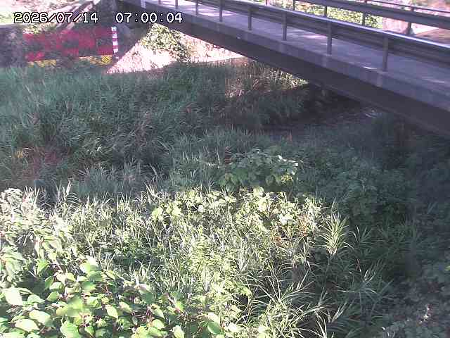 土師川２2026/07/14 15:20:00