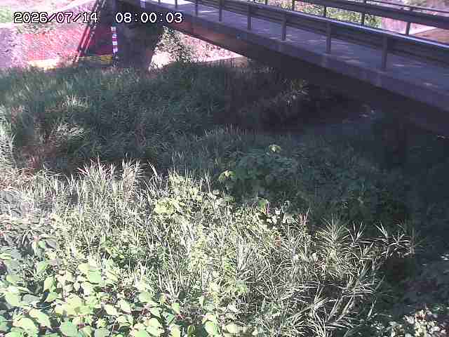 土師川２2026/07/14 15:20:00