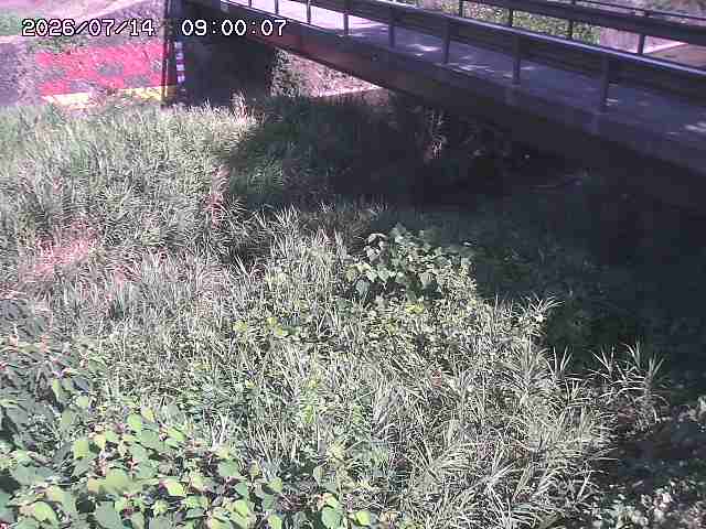 土師川２2026/07/14 15:20:00