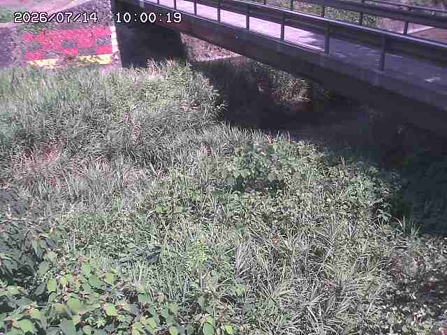 土師川２2026/07/14 15:20:00
