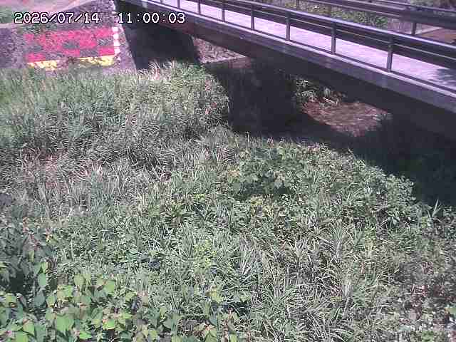 土師川２2026/07/14 15:20:00