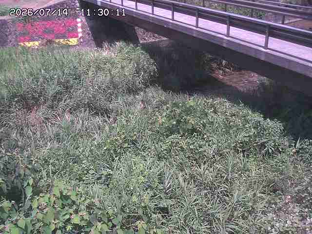 土師川２2026/07/14 15:20:00