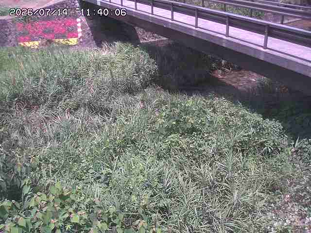 土師川２2026/07/14 15:20:00
