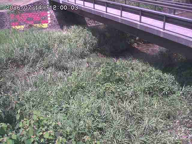 土師川２2026/07/14 15:20:00