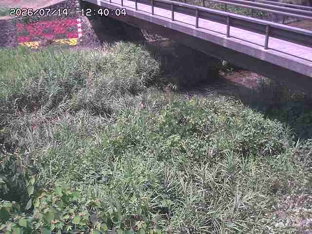 土師川２2026/07/14 15:20:00