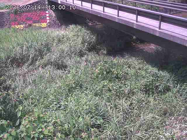 土師川２2026/07/14 15:20:00