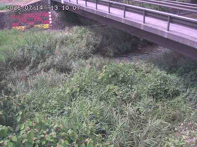 土師川２2026/07/14 15:20:00