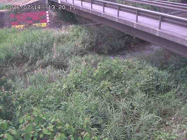土師川２2026/07/14 15:20:00