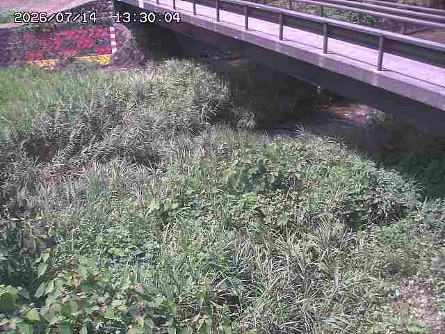 土師川２2026/07/14 15:20:00