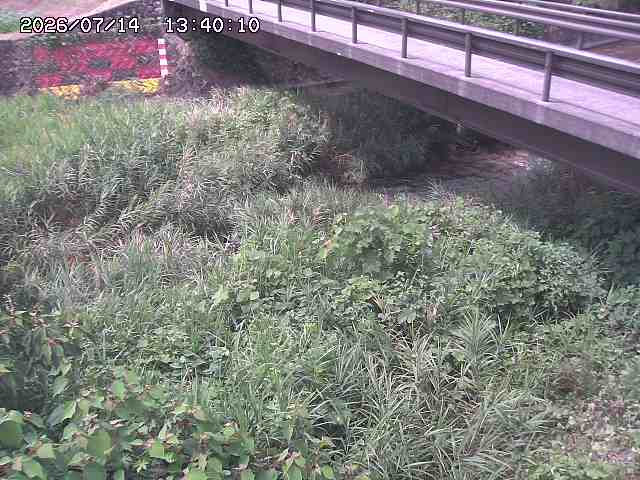 土師川２2026/07/14 15:20:00