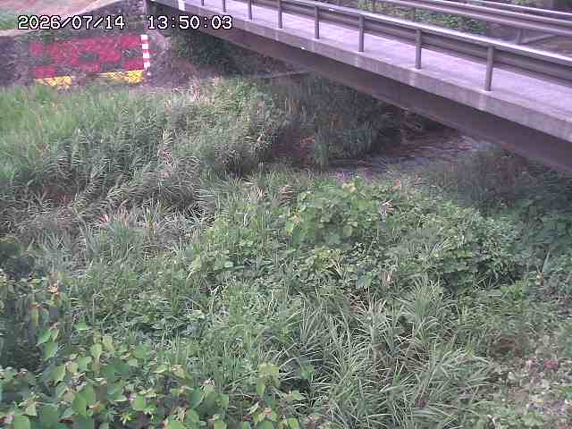 土師川２2026/07/14 15:20:00