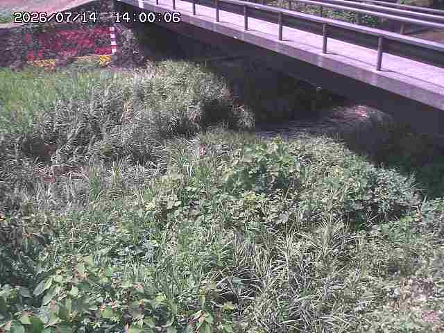 土師川２2026/07/14 15:20:00