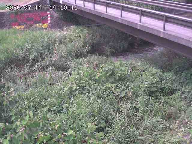 土師川２2026/07/14 15:20:00