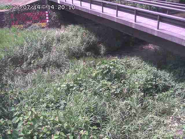 土師川２2026/07/14 15:20:00