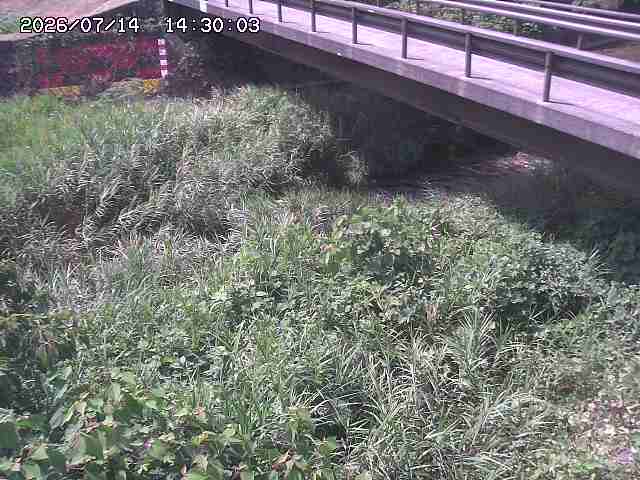 土師川２2026/07/14 15:20:00