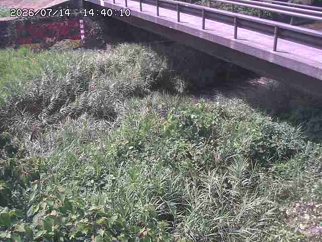 土師川２2026/07/14 15:20:00