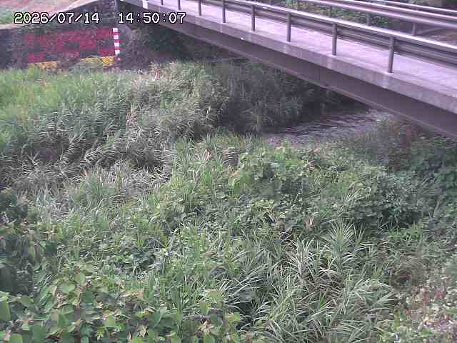 土師川２2026/07/14 15:20:00