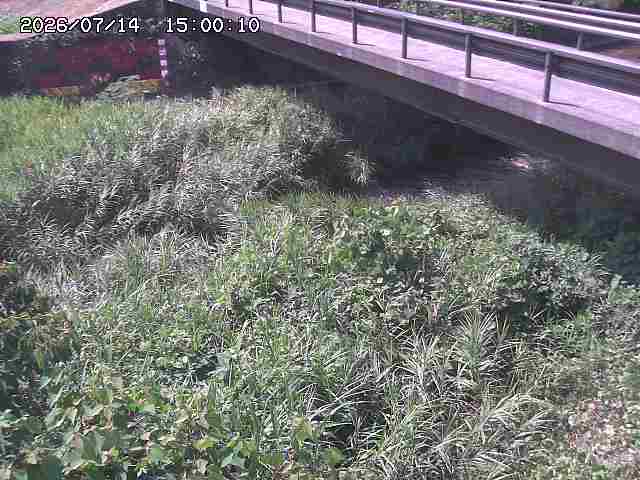 土師川２2026/07/14 15:20:00