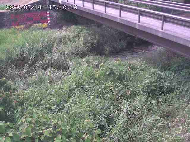 土師川２2026/07/14 15:20:00