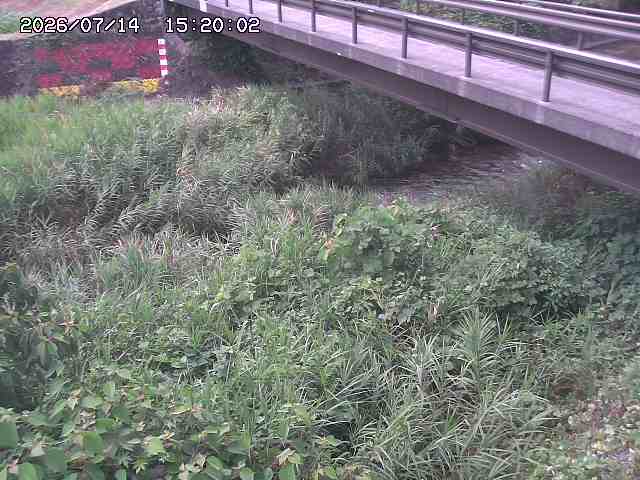 土師川２2026/07/14 15:20:00
