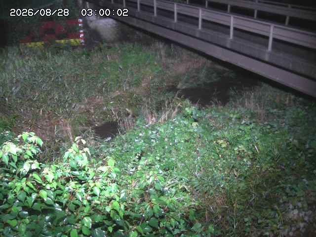 土師川２2026/08/28 17:00:00