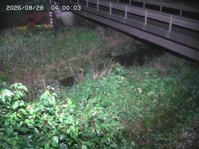 土師川２2026/08/28 17:00:00