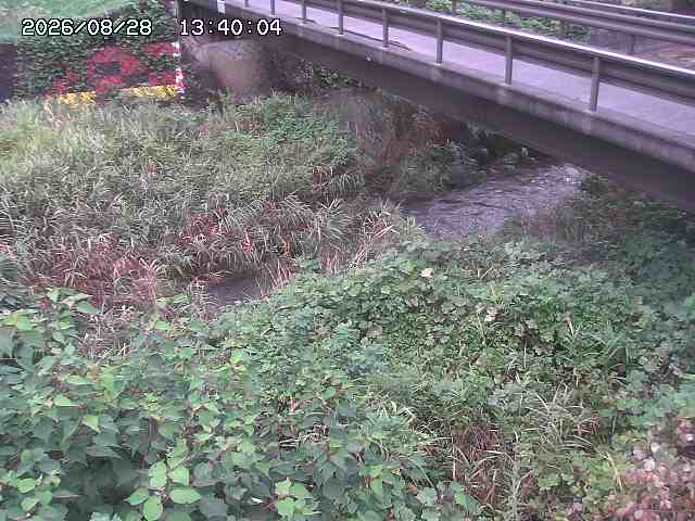 土師川２2026/08/28 17:00:00