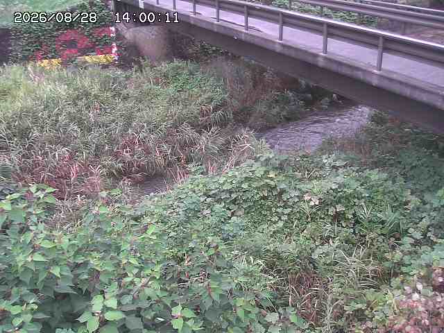 土師川２2026/08/28 17:00:00