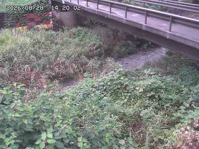 土師川２2026/08/28 17:00:00