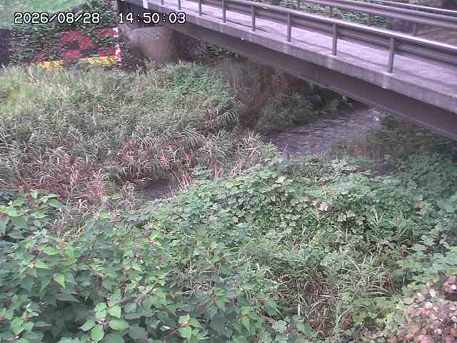 土師川２2026/08/28 17:00:00