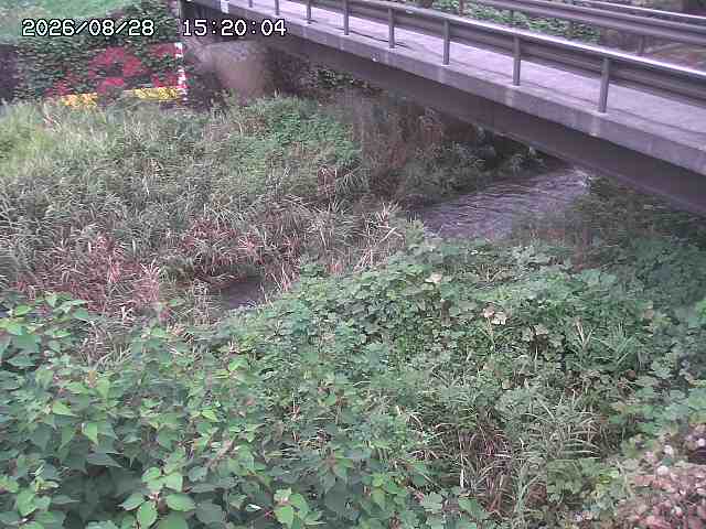 土師川２2026/08/28 17:00:00