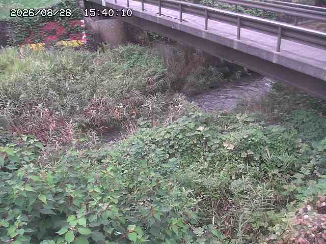 土師川２2026/08/28 17:00:00