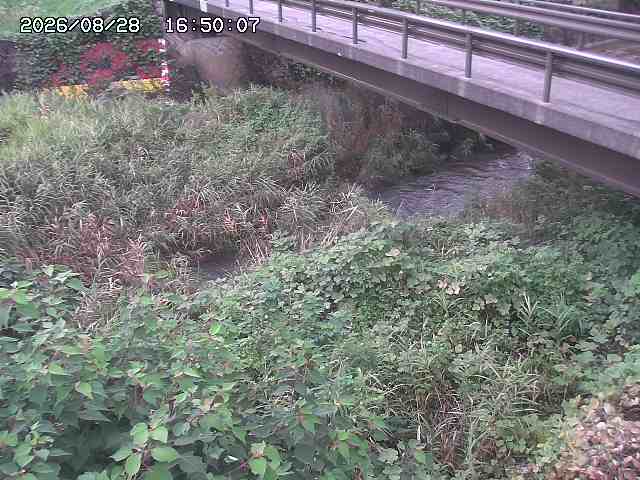 土師川２2026/08/28 17:00:00