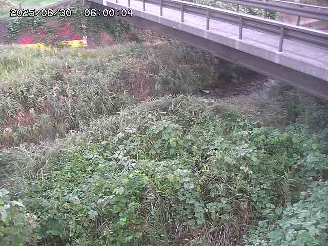 土師川２2025/08/31 1:00:00