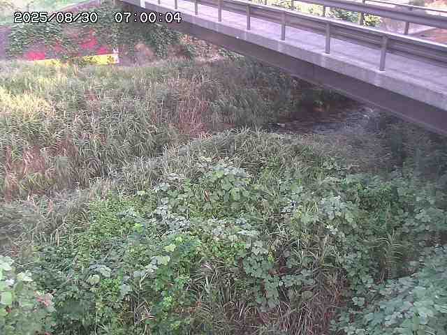 土師川２2025/08/31 1:00:00