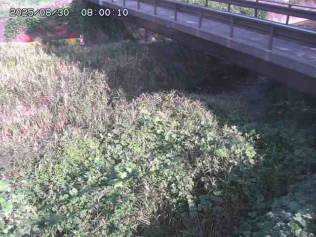 土師川２2025/08/31 1:00:00