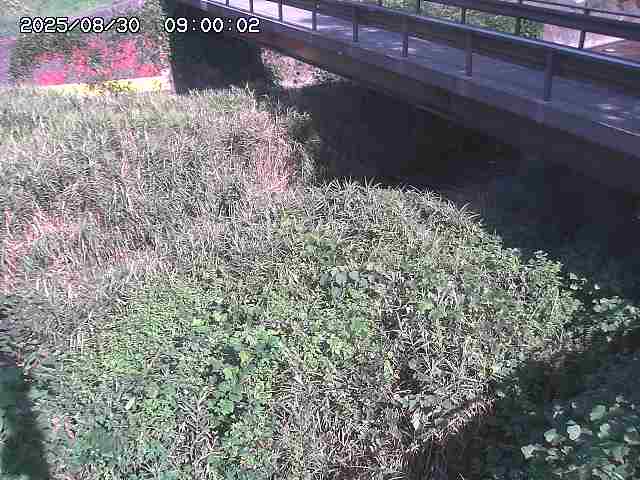 土師川２2025/08/31 1:00:00