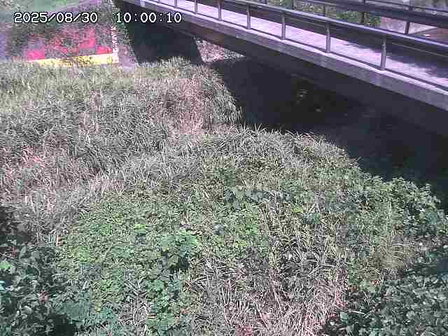土師川２2025/08/31 1:00:00