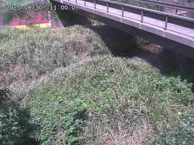 土師川２2025/08/31 1:00:00