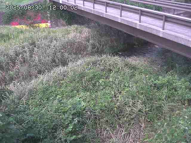 土師川２2025/08/31 1:00:00