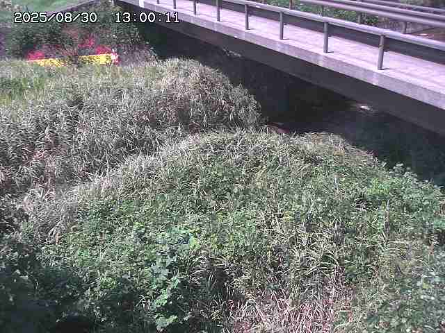 土師川２2025/08/31 1:00:00