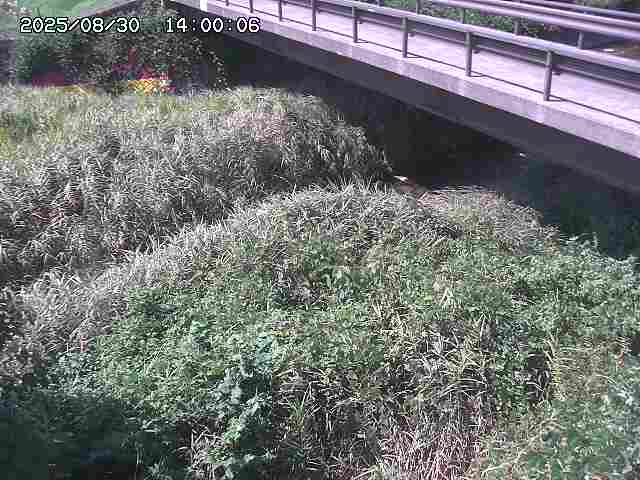 土師川２2025/08/31 1:00:00