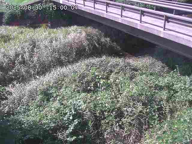 土師川２2025/08/31 1:00:00